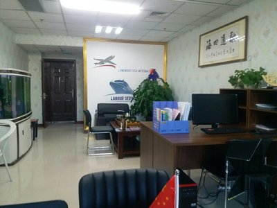 包头市墨鲸信息咨询服务 企业发展的智慧外脑与决策参谋